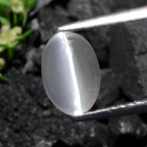 Sillimanite Occhio di Gatto Marrone grigio naturale da 1.40 ct, Taglio ovale, Trasparente