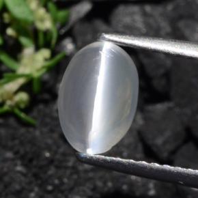 Sillimanite Occhio di Gatto Marrone grigio naturale da 1.40 ct, Taglio ovale, Trasparente