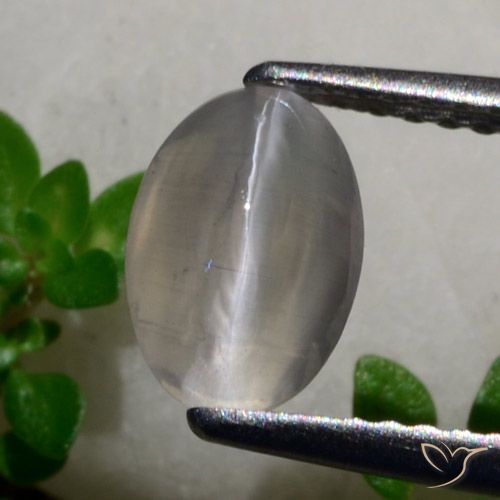 1.65ct Naturale Grigio molto chiaro Sillimanite effetto occhio di gatto, Ovale, Traslucido