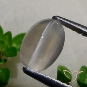 Sillimanite Occhio di Gatto Grigio molto chiaro naturale da 1.65 ct, Ovale, Traslucido