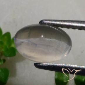 Sillimanite Occhio di Gatto Grigio molto chiaro naturale da 1.65 ct, Ovale, Traslucido