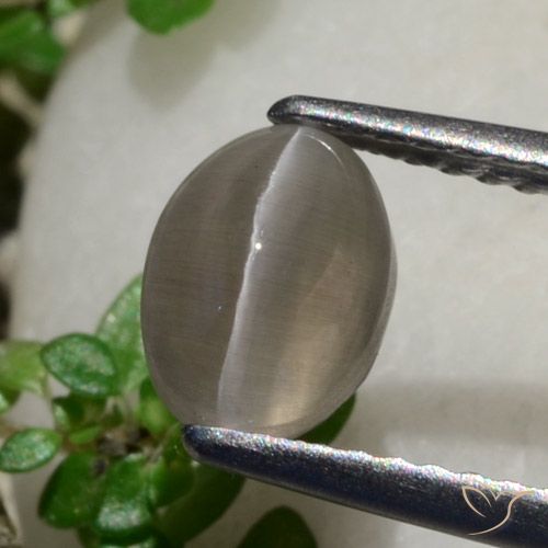 1.80ct Naturale Marrone Arachidi Sillimanite effetto occhio di gatto, Ovale, Traslucido
