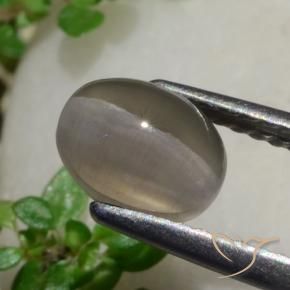Sillimanite Occhio di Gatto Marrone Arachidi naturale da 1.80 ct, Ovale, Traslucido