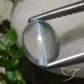 Sillimanite Occhio di Gatto Bianco naturale da 1.47 ct, Ovale, Trasparente