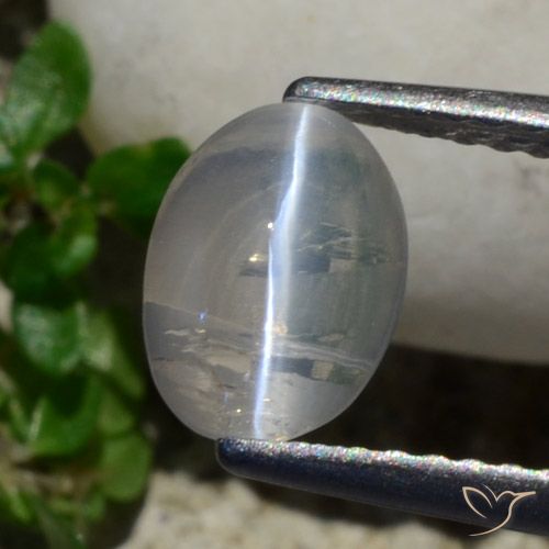 1.42ct Naturale Grigio molto chiaro Sillimanite effetto occhio di gatto, Ovale, Trasparente