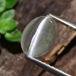 Sillimanite Occhio di Gatto color fumo naturale da 1.14 ct, Taglio ovale, Trasparente