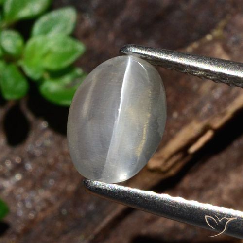 1.47ct Naturale Bianco Sillimanite effetto occhio di gatto, Ovale, Traslucido