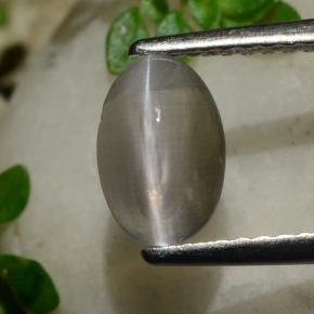 Sillimanite Occhio di Gatto color fumo naturale da 1.20 ct, Taglio ovale, Trasparente