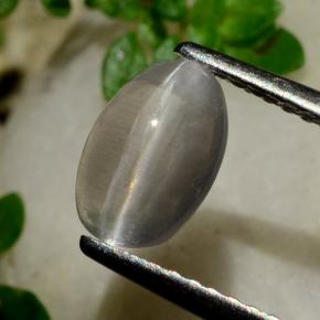 Sillimanite Occhio di Gatto color fumo naturale da 1.20 ct, Taglio ovale, Trasparente
