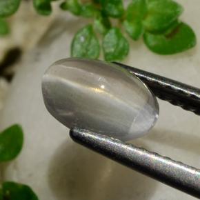 Sillimanite Occhio di Gatto color fumo naturale da 1.20 ct, Taglio ovale, Trasparente