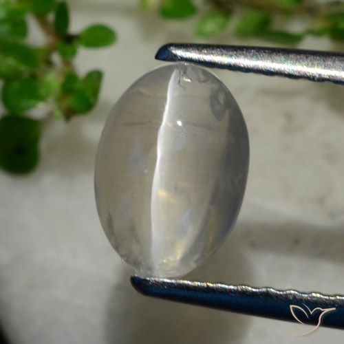 1.40ct Naturale Grigio molto chiaro Sillimanite effetto occhio di gatto, Ovale, Trasparente