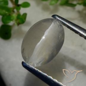 Sillimanite Occhio di Gatto Grigio molto chiaro naturale da 1.40 ct, Ovale, Trasparente