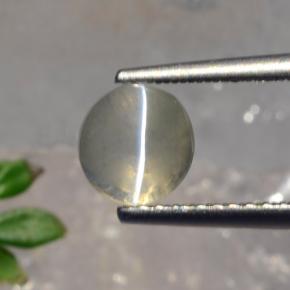 Sillimanite cat's eye naturale grigio da 1,56 ct, taglio rotondo, traslucido