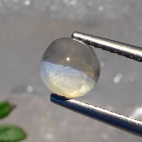 Sillimanite cat's eye naturale grigio da 1,56 ct, taglio rotondo, traslucido
