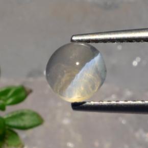 Sillimanite cat's eye naturale grigio da 1,56 ct, taglio rotondo, traslucido