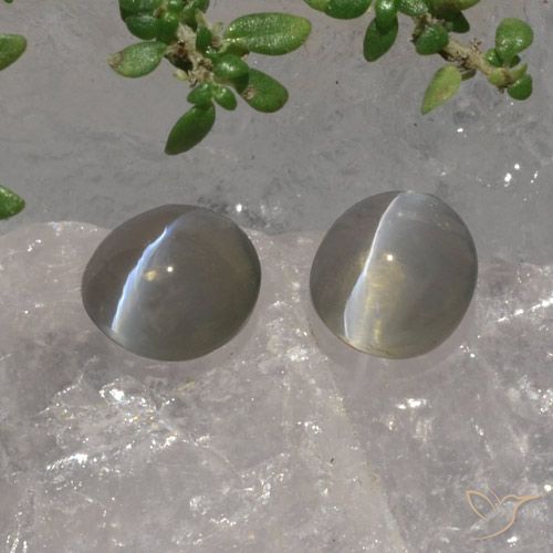 3.07ctw Naturale Grigio molto chiaro Sillimanite effetto occhio di gatto, Ovale, Traslucido