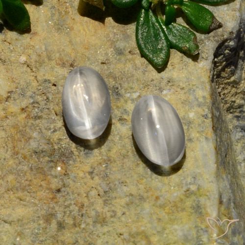 1.37ctw Naturale Bianco Sillimanite effetto occhio di gatto, Ovale, Traslucido