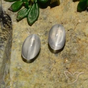 Gemme di Sillimanite Occhio di Gatto Bianco naturale da 1.37 ct, Ovale, Traslucido