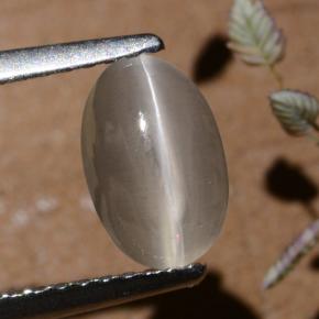 Sillimanite Occhio di Gatto color fumo naturale da 1.40 ct, Taglio ovale, Traslucido