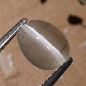 Sillimanite Occhio di Gatto color fumo naturale da 1.44 ct, Taglio ovale, Traslucido