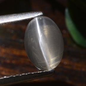 Sillimanite Occhio di Gatto Grigio molto chiaro naturale da 1.40 ct, Taglio ovale, Traslucido