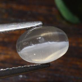 Sillimanite Occhio di Gatto Grigio molto chiaro naturale da 1.40 ct, Taglio ovale, Traslucido
