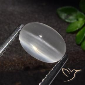 Sillimanite Occhio di Gatto Bianco naturale da 1.51 ct, Ovale, Trasparente