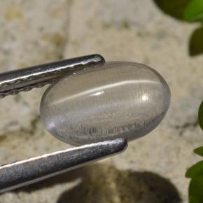 Sillimanite Occhio di Gatto color fumo naturale da 1.45 ct, Taglio ovale, Trasparente