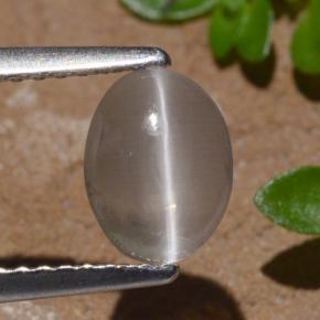 Sillimanite Occhio di Gatto color fumo naturale da 1.29 ct, Taglio ovale, Trasparente