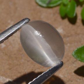 Sillimanite Occhio di Gatto color fumo naturale da 1.29 ct, Taglio ovale, Trasparente