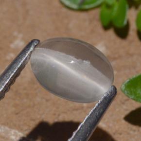Sillimanite Occhio di Gatto color fumo naturale da 1.29 ct, Taglio ovale, Trasparente