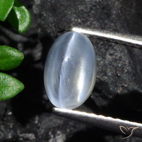 1.70ct Naturale Chiaro Sillimanite effetto occhio di gatto, Ovale, Trasparente