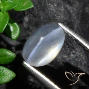 Sillimanite Occhio di Gatto Chiaro naturale da 1.70 ct, Ovale, Trasparente