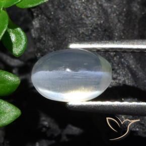 Sillimanite Occhio di Gatto Chiaro naturale da 1.70 ct, Ovale, Trasparente
