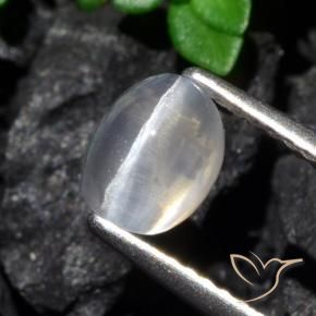 Sillimanite Occhio di Gatto Chiaro naturale da 1.61 ct, Ovale, Trasparente