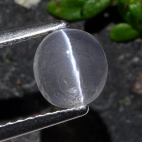 Sillimanite cat's eye naturale grigio da 1,03 ct, taglio ovale, trasparente