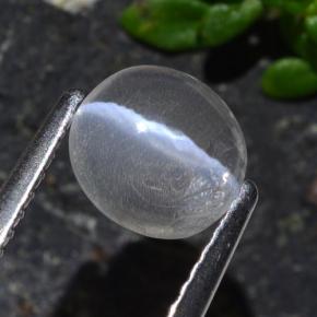 Sillimanite cat's eye naturale grigio da 1,03 ct, taglio ovale, trasparente