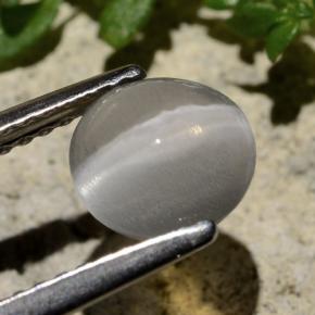 Sillimanite Occhio di Gatto color fumo naturale da 1.59 ct, Taglio rotondo, Trasparente