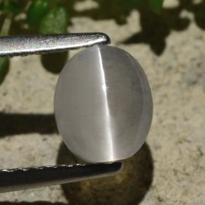 Sillimanite Occhio di Gatto color fumo naturale da 1.57 ct, Taglio ovale, Trasparente