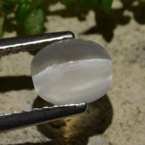 Sillimanite Occhio di Gatto color fumo naturale da 1.57 ct, Taglio ovale, Trasparente