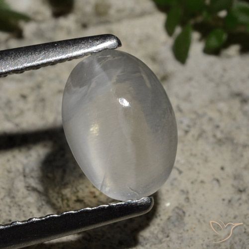 1.44ct Naturale Bianco trasparente Sillimanite effetto occhio di gatto, Ovale, Trasparente