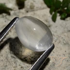 Sillimanite Occhio di Gatto Bianco trasparente naturale da 1.44 ct, Ovale, Trasparente