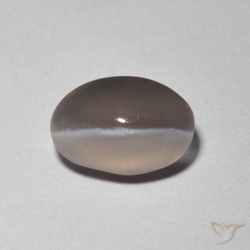 1.48ct Naturale Grigio molto chiaro Sillimanite effetto occhio di gatto, Ovale, Trasparente