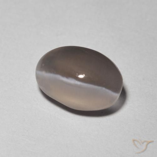 Sillimanite Occhio di Gatto Grigio molto chiaro naturale da 1.48 ct, Ovale, Trasparente
