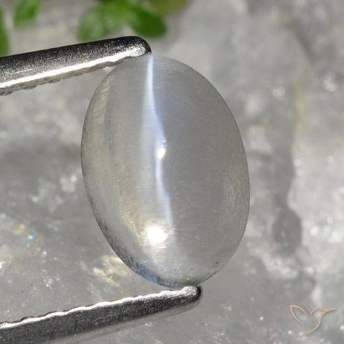 1.49ct Naturale Grigio molto chiaro Sillimanite effetto occhio di gatto, Ovale, Trasparente