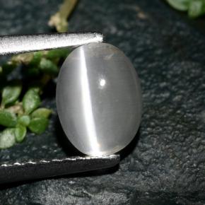 Sillimanite cat's eye naturale grigio da 1,39 ct, taglio ovale, trasparente