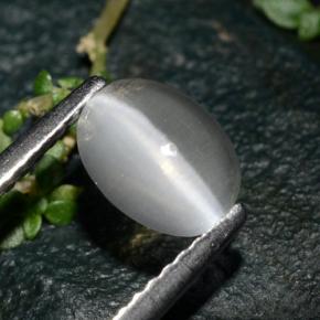 Sillimanite cat's eye naturale grigio da 1,39 ct, taglio ovale, trasparente