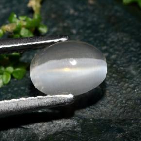 Sillimanite cat's eye naturale grigio da 1,39 ct, taglio ovale, trasparente