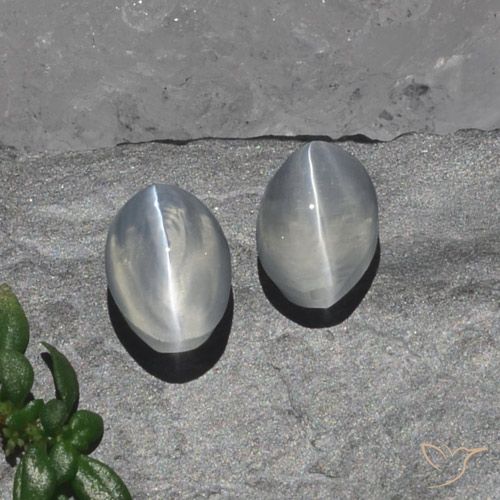 2.15ctw Naturale Bianco trasparente Sillimanite effetto occhio di gatto, Ovale, Trasparente