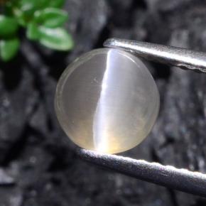 Sillimanite cat's eye naturale grigio da 1,74 ct, taglio rotondo, traslucido